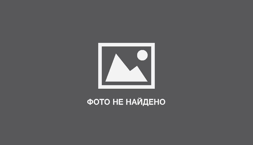 10 удивительных фактов о корниш-рексах: что делает их уникальными?